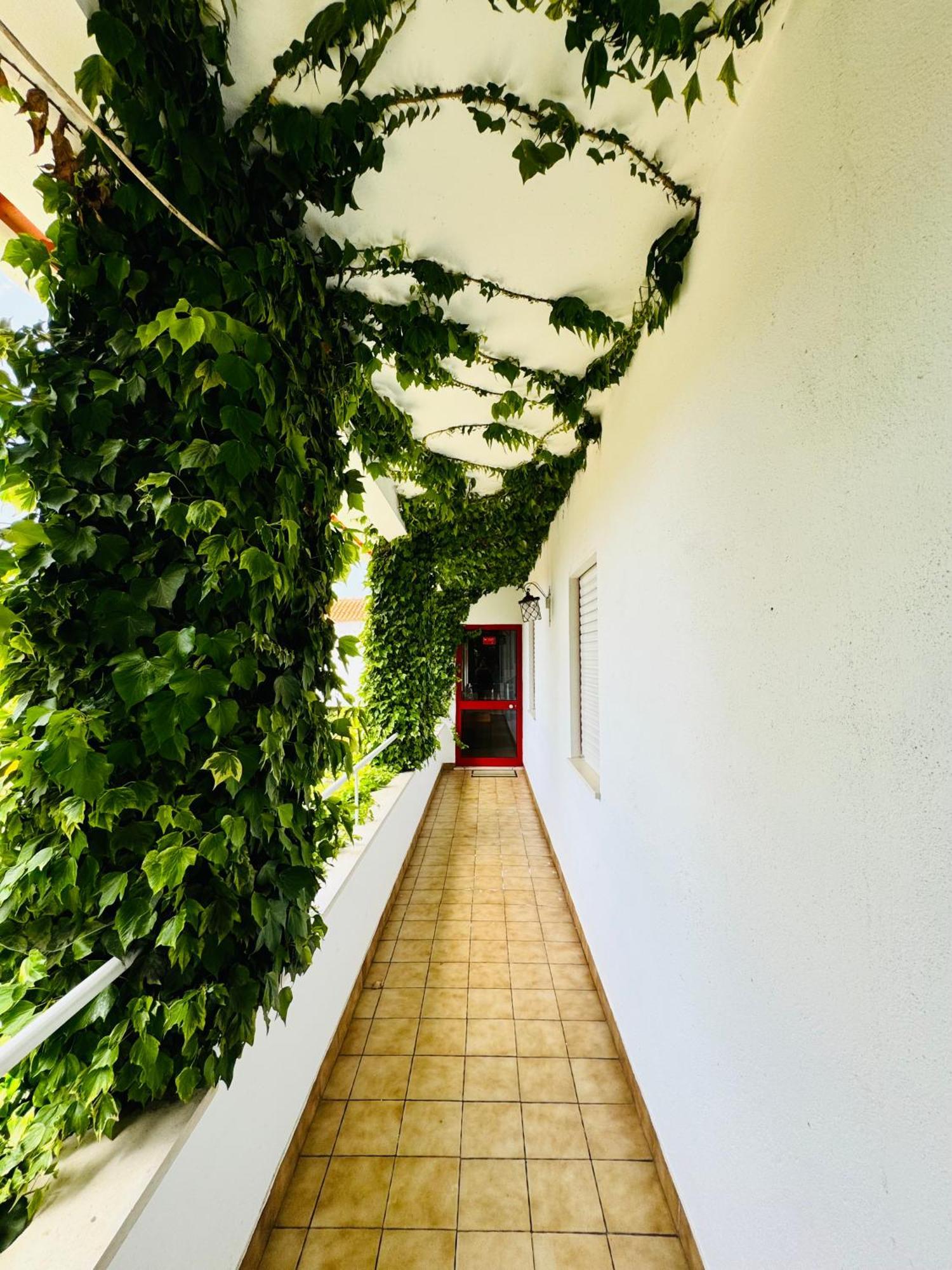Nature & Beach Guest Rooms, Aldeamento Turistico Do Camarido Cristelo  エクステリア 写真